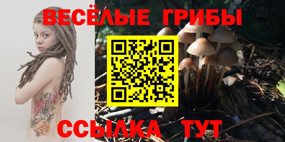 Кирово-Чепецк  Галлюциногенные грибы прущие грибы  Псилоцибиновые грибы GOLDEN TEACHER  Вход с VPN 